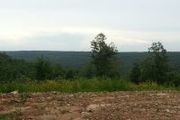 82.404 Acres Off Cr 3605