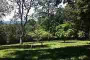 24615 Alpine Rd.