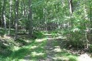 19815 Blue Hole Rd.