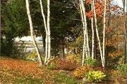 64 Blueberry Cove Rd. 64