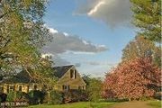 20401 Bluedog Ln.