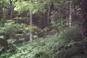 00 Bonner Mountain Rd.