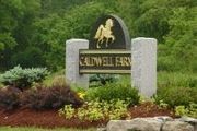 20 Caldwell Farm, 20