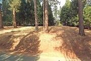 Cedar
