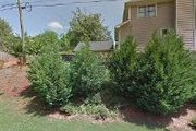 Cedar