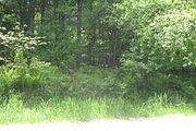 6673 Cold River Rd.