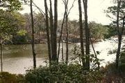 00 Cove Woods