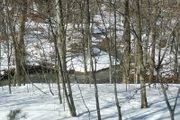 Creek Rd.