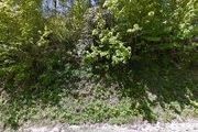 Deerwood