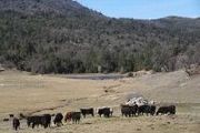 0 East Grade Rd.