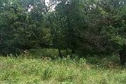 4022 Elmwood Ln.