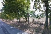 Farm Rd. 91