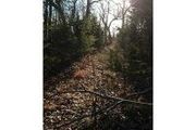 Frog Rock Rd.