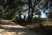 3724 Glass Rd.