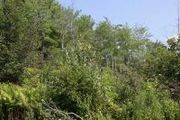23 Gully Brook Ln.