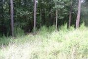 2485 Gus Icard St., 55