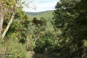 20 Honeymoon Hollow Rd.