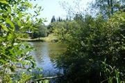 Honeymoon Lake Dr.