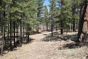 38672 Hwy. 373