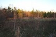 Lot 3 Deerfield Plantation