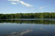 Lot E. Estes Lake Rd., FR 2210 Lat 46.55952868933604 Lon -88.756798493705