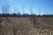 Lot #8 New York Route 46 & 49 N.