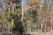Lot 1 Shore Acres Dr.