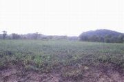 Lot 28 Sunsee Estates, Phase Ii