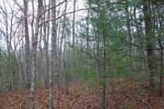 Lot11 Tall Timber Rd., Lot 11