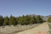 2467 Maddalena Rd.