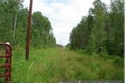 Maple Rd.