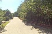 Marilyn Park