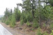 130 Mount Creek Dr.