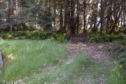 26293 N. Hwy. 1