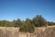 1927 N. Raven Rd.