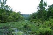 Nashoba N. Cripple Mt. Trail