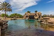 4918 Newpoint Dr.