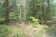 Off E. Cypher & Polecat Hollow Rd., Lot# 5