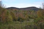 Off Stannard Mtn Rd.