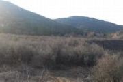 Old Hwy. 80 W. Pine Valley Ca 91962, PAR 3 TR 1018602