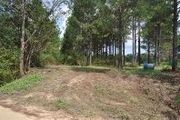 Pera Rd.