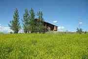262 Pickering Ln.