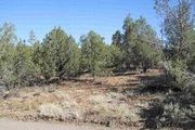 294 Pinon Hills Dr.
