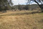 25336 Potrero Valley Rd., Tract 57