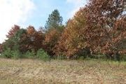 0 Roosevelt Rd., 25