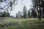 919 S. Brooks Rd.