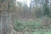 S. Of Cr 268