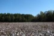 400 Sandy Ridge Rd.