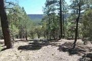 South Auger Canyon Rd.