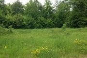 721 St. Ann Cir., Lot #5